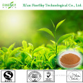 china supplier supply water soluble green tea polyphenols for food&beverage